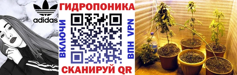 купить Кандалакша Бошки Шишки конопля